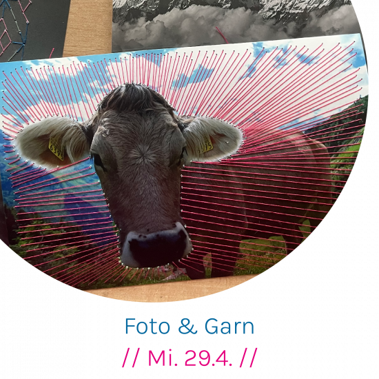 Startseite Aktuell Foto und Garn